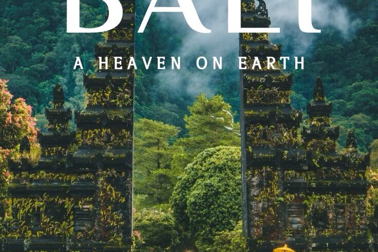 8b3bbf87786997403f1e49b66cf653c2